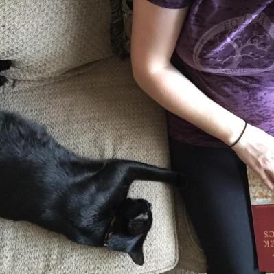 12036591_10204905889673268_7087293362779100870_n